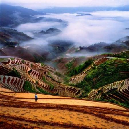chine