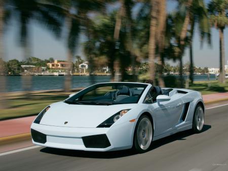 lamborghini gallardo