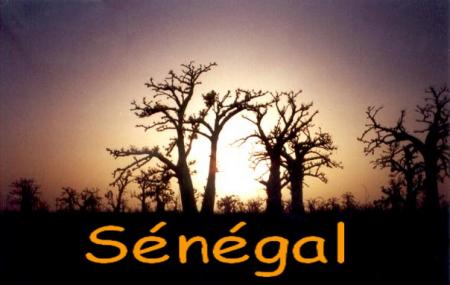 senegal pays de la t&eacute;ranga